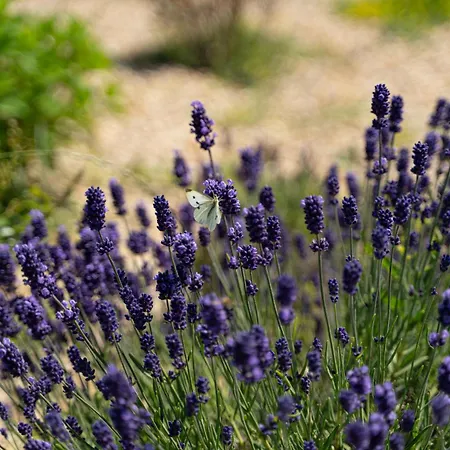 17tuzla Курортный комплекс *