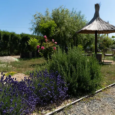 17tuzla リゾート トゥズラ