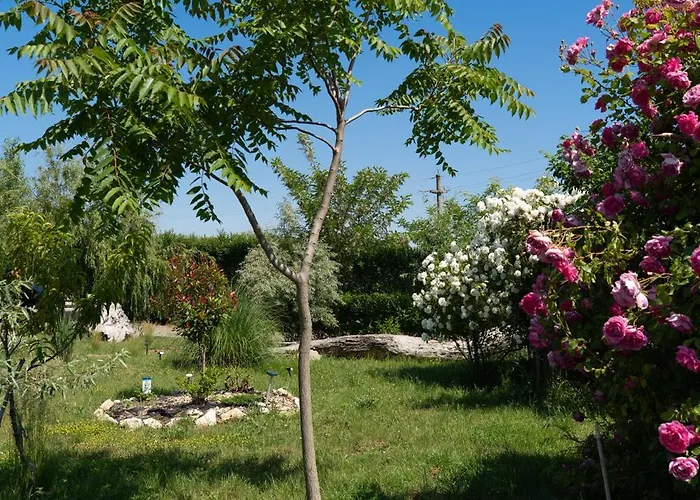 17tuzla * Тузла