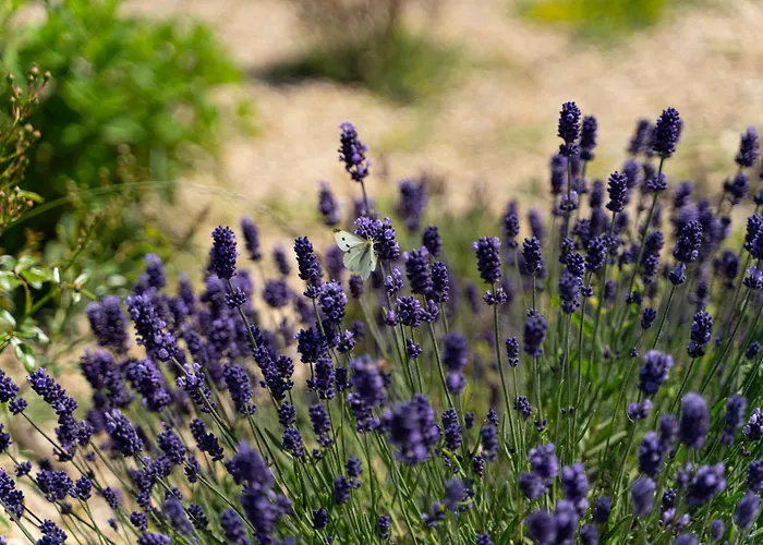 17tuzla Курортный комплекс *